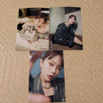 아이나 지 엔드 브로마이드