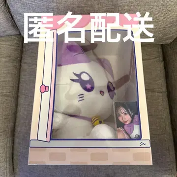 앉아 미아즈 사사키 코코나