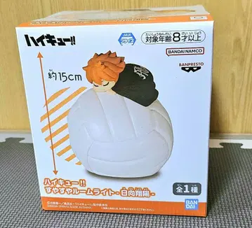 하이큐!! 쌔근쌔근 룸 라이트 히나타 쇼요