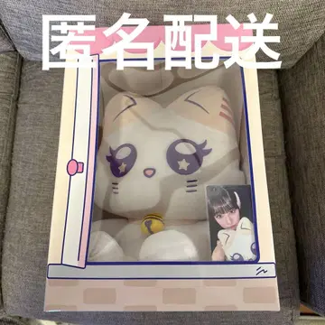 앉아 마이즈 이이다 시즈키