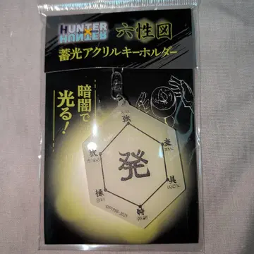 HUNTER x HUNTER 축광 아크릴 키링 육성도