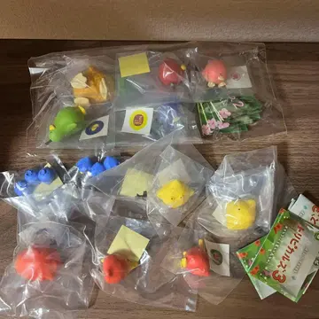 트리피컬즈 세트