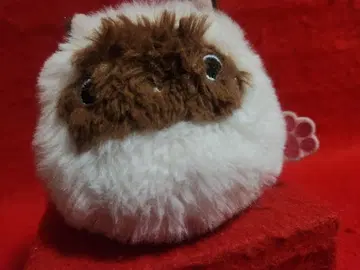 고양이 덩어리 히말라야 봉제 인형 고양이 마스코트