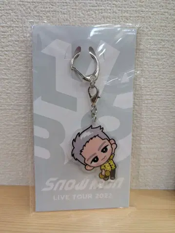 스노우 칠 교수형 시리즈 아크릴 키링 이와모토 테루