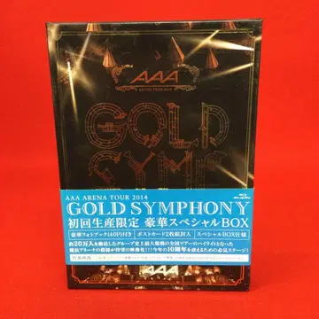 AAA ARENA TOUR 2014 -Gold Symphony-