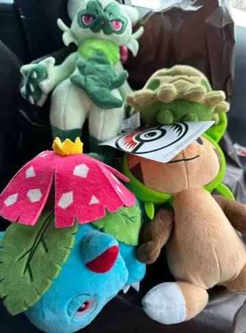 포켓몬 봉제 인형 포켓몬 센터