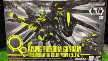 HG 라이징 프리덤 건담