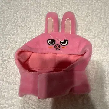 [ Stray Kids ] 응원봉 커버 ver.2 창빈/돼끼