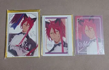 하니브 미로 오토마 오토 겨울 아크릴 스탠드 아크스타 아크카 파르카