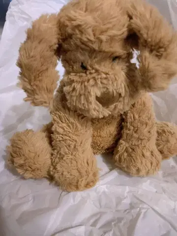 Jellycat 제리캣 강아지 봉제 인형 파들우들 단종