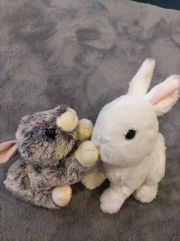 그레이와 화이트 토끼 봉제 인형 2세트