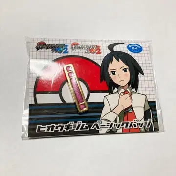 포켓몬 히오우기 체육관 베이직 배지