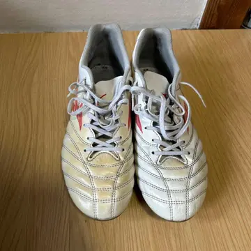 Mizuno Monarcida Neo