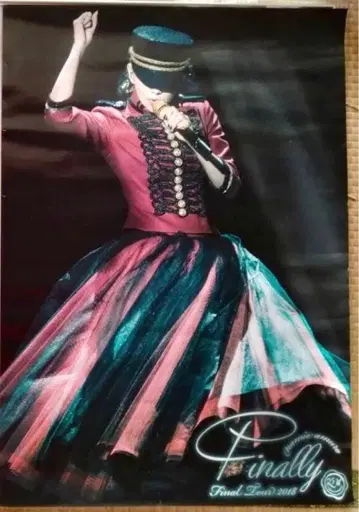 레어! 아무로 나미에 포스터 Final Tour 2018 Finally