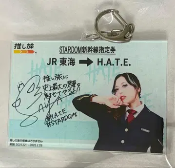 최애 여행 스타덤 아크릴 키링 H.A.T.E.