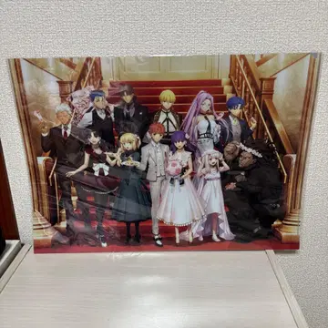 Fate 페이트 런천매트 케이스 한정품