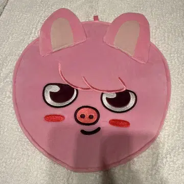 Stray Kids 스키즈 부채 커버 창빈 돼끼