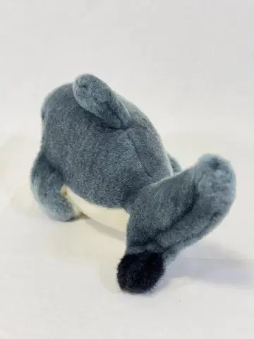 [정품] 해유관 한정판 호호지로상어 봉제 인형