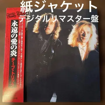 AOR 종이 자켓 CD 치프 트릭 / 영원의 사랑의 불꽃[+8]