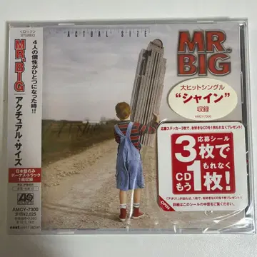 MR. BIG ACTUAL SIZE