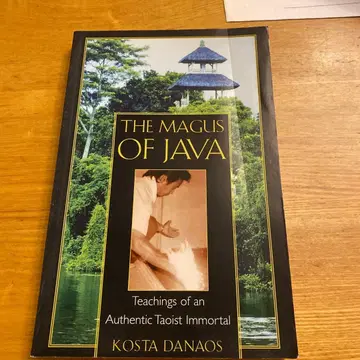 The Magus of Java - Kosta Danaos