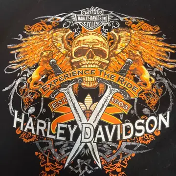 Harley Davidson 티셔츠 블랙 푸에르토 모렐로스