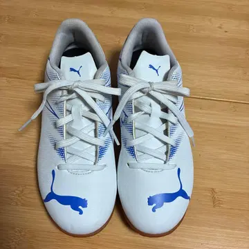 Puma 풋살화 화이트/블루