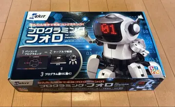 프로그래밍 포로