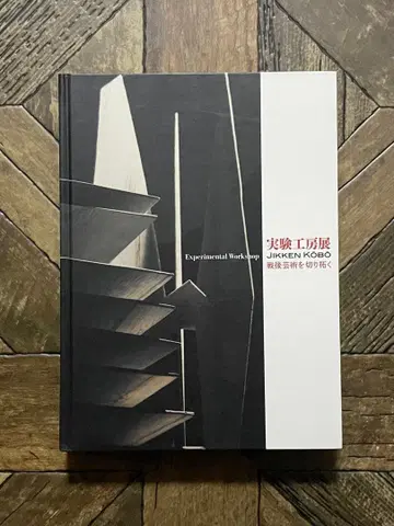 실험 공방전 전후 예술을 개척하다