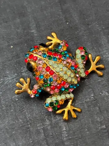 컬러풀한 개구리 브로치