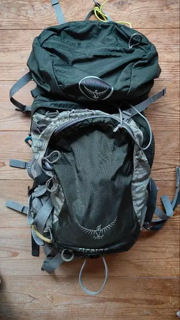 오스프리 스트라토스 36