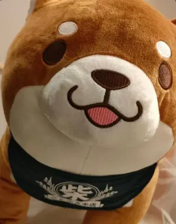 시바견 충견 모치시바 BIG 봉제 인형