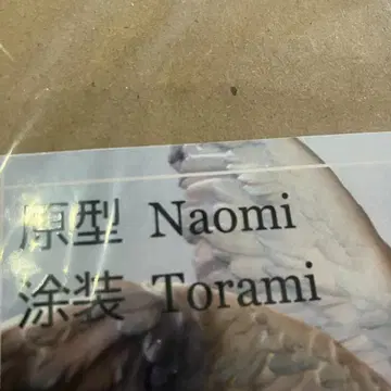 원페스 2025 여름 카오루 날개 ver. 에반게리온 레진 키트