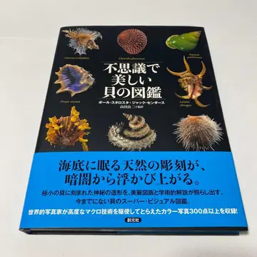 [ 미사용 새상품 ] 신비롭고 아름다운 조개 도감