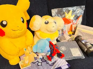 피카피카 박스 2026