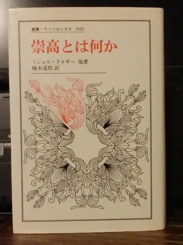 숭고함이란 무엇인가 미셸 도게 저