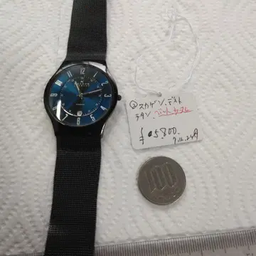 스카겐 데니스 손목시계 블루