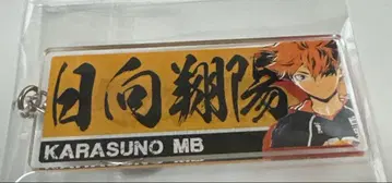 하이큐!! 3층 프린트 아크릴 키링 히나타 겐가 x 타이칸전