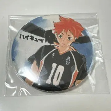 하이큐 원작 캔뱃지 히나타 쇼요 히나타 콤비 세트