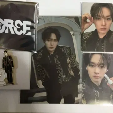 stray kids FORCE 리노 핀 배지 카드