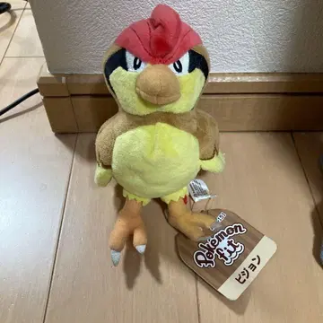 포켓몬 핏 비둘기 봉제 인형 #My 151