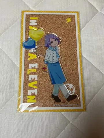 이나즈마 일레븐 후부키 시로 아크릴 스탠드 스이파라 스위츠 파라다이스