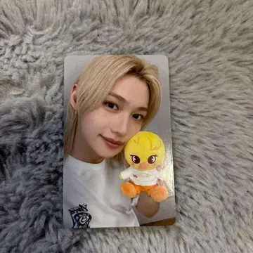 필릭스 트레이딩 카드