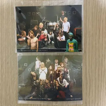 Zany Zap SUMMIT 10 Vol.10 사진 2장 세트