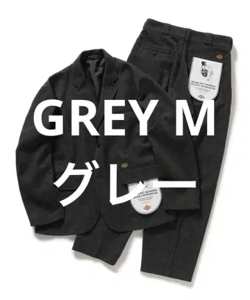 Dickies TRIPSTER SUIT 25FW GREY M