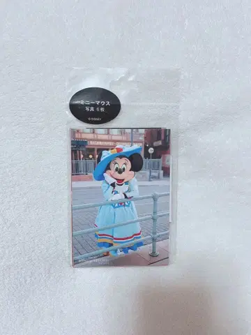 미니 마우스 사진 세트 도쿄 디즈니 리조트