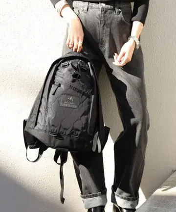 [ 최종 가격 인하 ] GREGORY 백팩 freak's store 별주