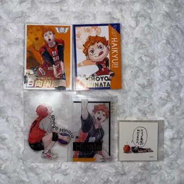 히나타 쇼요 V리그 카드