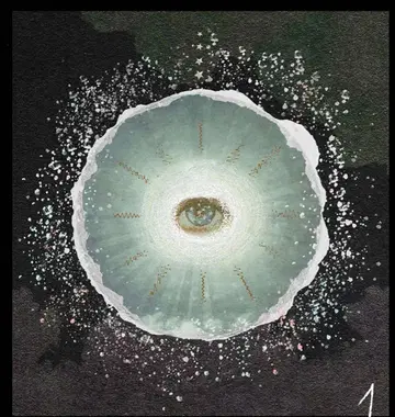 siip 가이아 완전 생산 한정판 미개봉 새상품