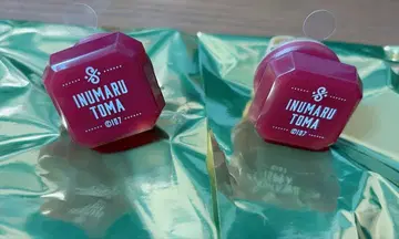 아이나나 10주년 링라이트 이누마루 토마